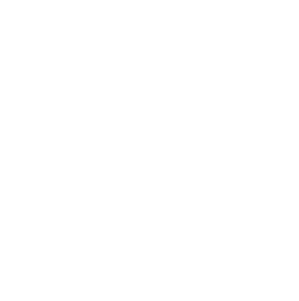 python development companies