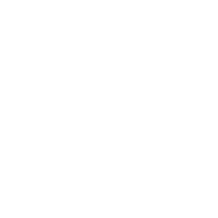 hire asp.net developers india