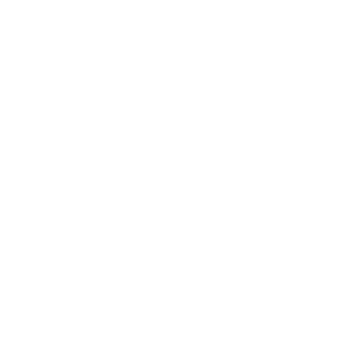 AI.png
