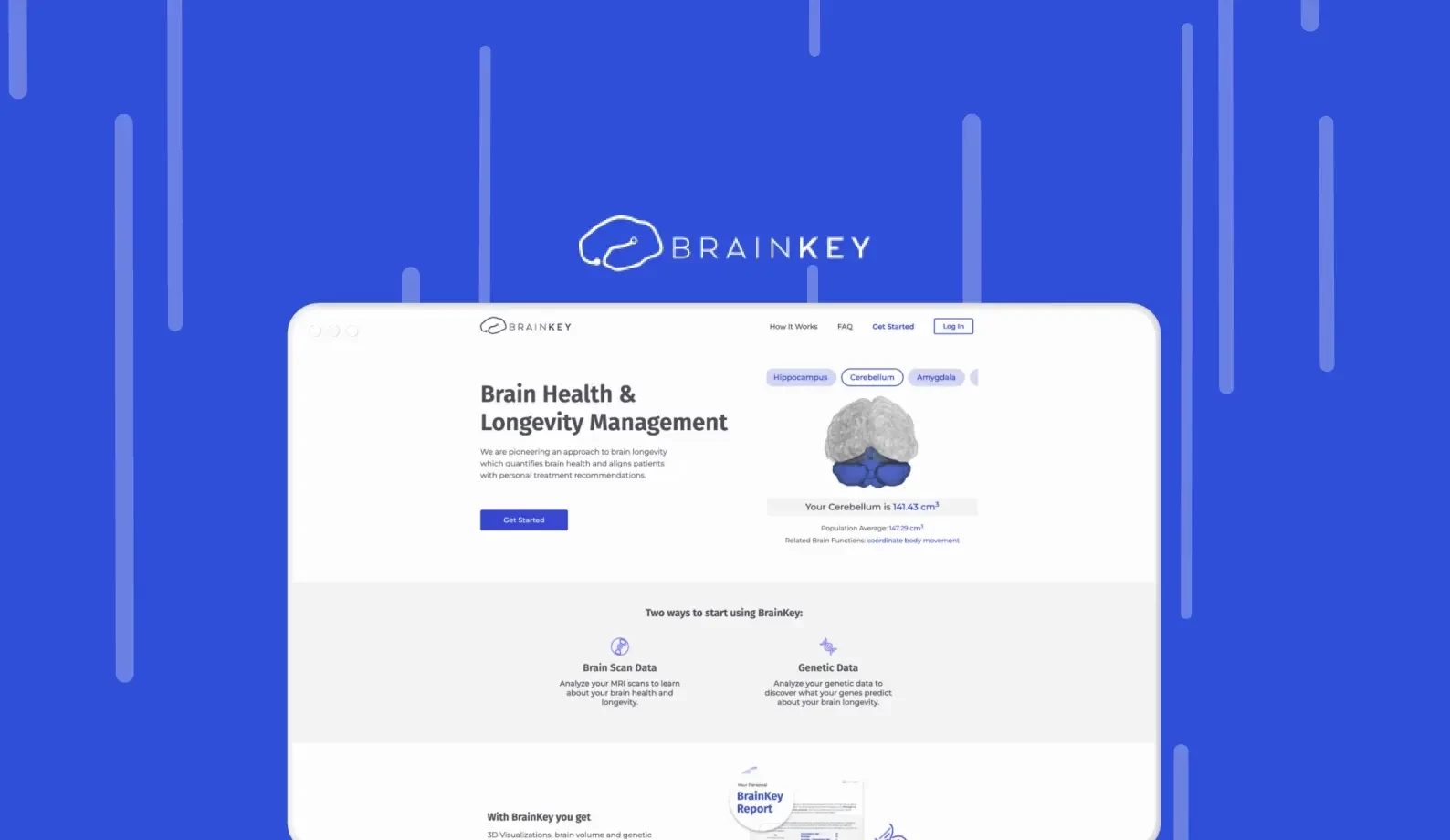 Brainkey