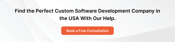Custom Software Development Company in the USA