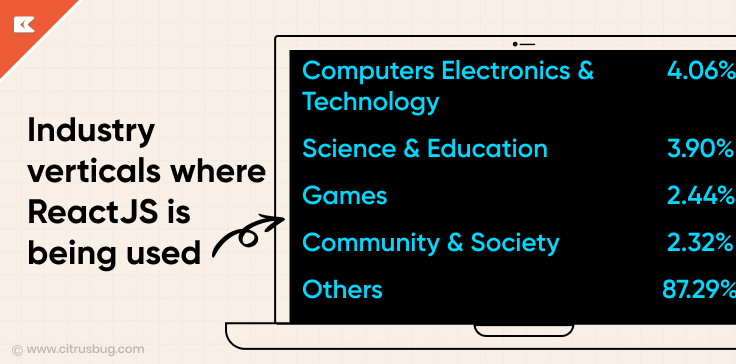 Industry verticals where ReactJS is being used-.png