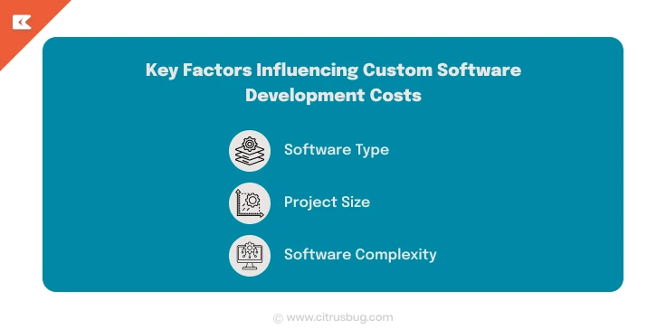 Factors Influencing Custom Software Development Costs