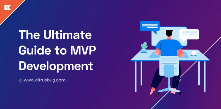 MVP Development Guide