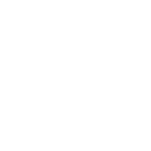 hire hire-php-developers developer