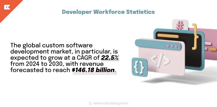 Developer Workforce Statistics