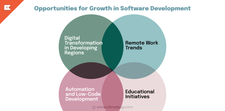 Opportunities for Growth in Software Development